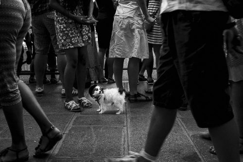 Paris, 2015