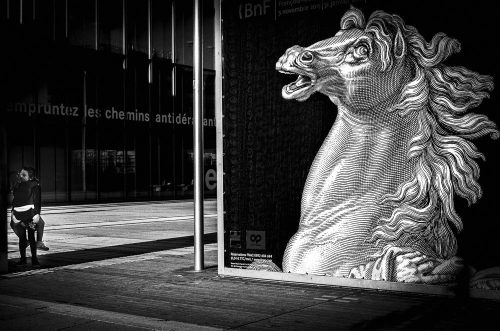 Paris - Bibliothque F.Mitterrand,  2015