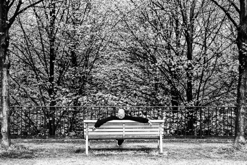 Paris - Jardin de Bercy, 2017