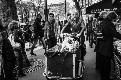 Paris - Bd Sint-Michel, 2019